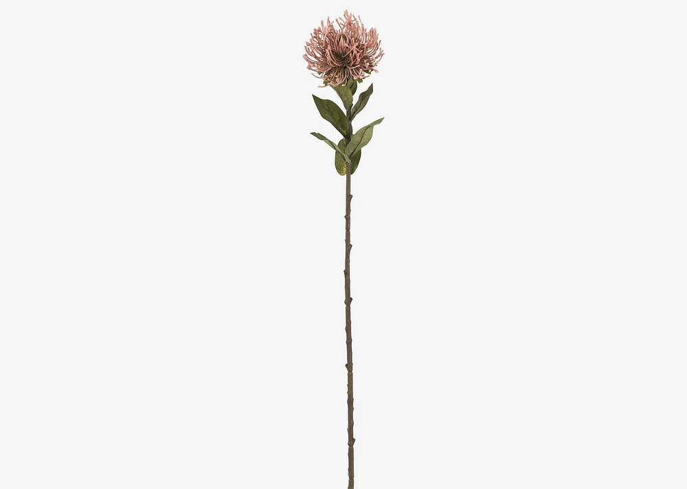 Jada Leucosper Mum Stem Pink