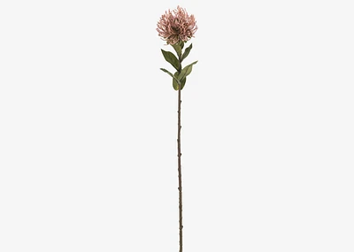 Jada Leucosper Mum Stem Pink