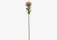 Jada Leucosper Mum Stem Pink