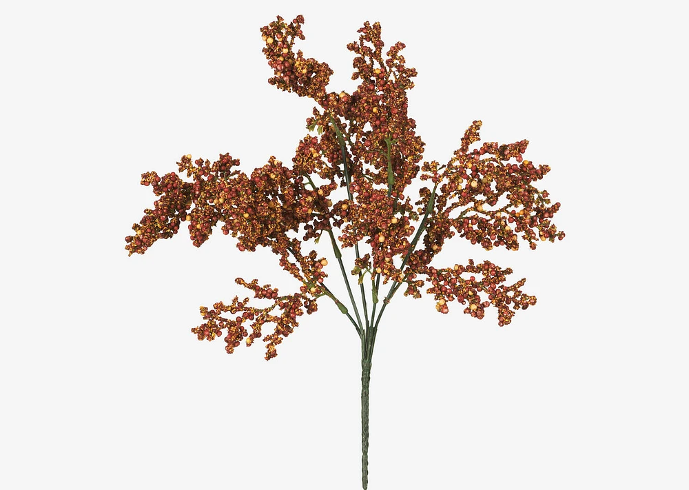 Esther Seeded Flower Stem Rust