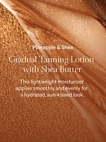 Pineapple & Shea Glow Tanning Lotion