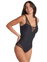 Sheer Shadow Plunge One-Piece Swimsuit