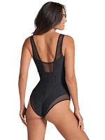 Sheer Shadow Plunge One-Piece Swimsuit