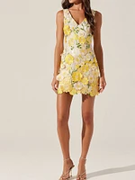 Aisha Dress