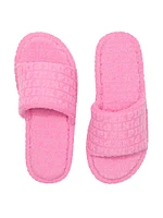Terry Slides