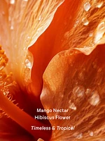Fragrance Mist