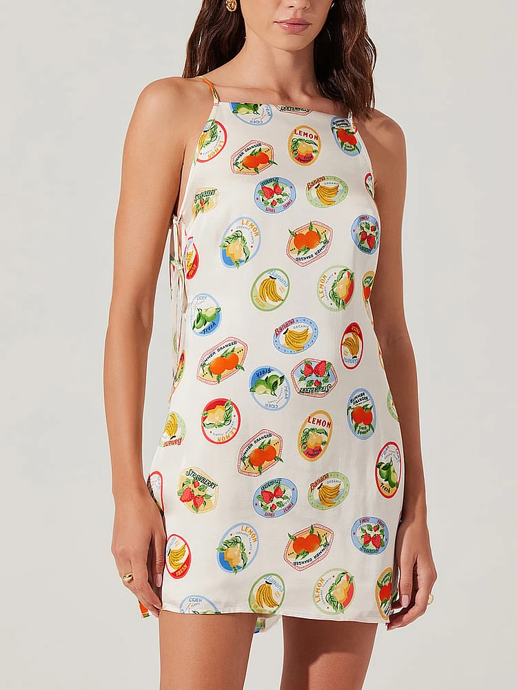 Samira Dress