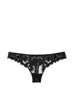 Floral Embroidered Thong Panty