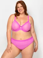 Sheer Mesh High Leg Brief Panty