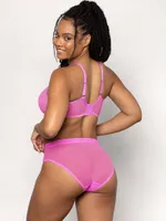 Sheer Mesh High Leg Brief Panty