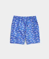 Boys' Chappy Swim Trunks
