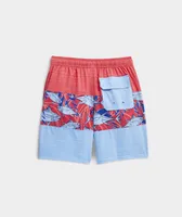 Boys' Pieced Chappy Swim Trunks