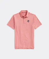 Minnesota Twins Destin Stripe Sankaty Polo