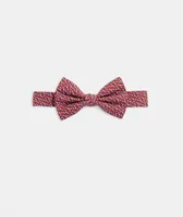 Boys' Classic Lobsters Bow Tie