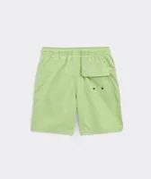 Boys' Island Chappy Swim Trunks