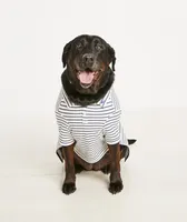 Pet Pique Polo