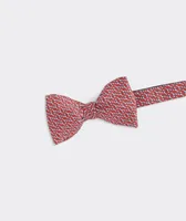 Classic Lobsters Cummerbund