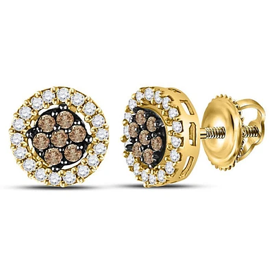 10k Gold Womens Brown Diamond Flower Cluster Stud Earrings 1/4 Cttw