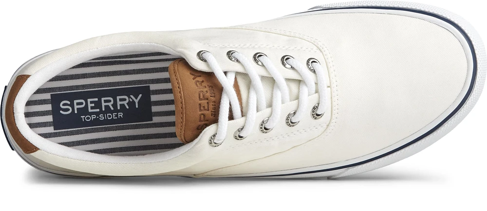 Striper II CVO Canvas Lace-Up Sneaker