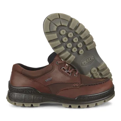 Men's Track 25 Bison Brown Leather Gore-Tex Waterproof Shoe