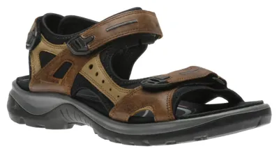 Yucatan Brown Sport Sandal
