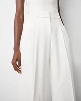 Petite Pleated Wide Leg Pant