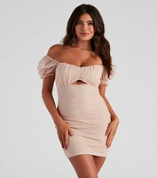 Swept Off Your Feet Mesh Mini Dress