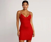 Ravishing Lace Bodycon Dress