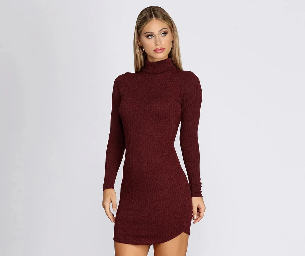 Turtleneck Long Sleeve Ribbed Knit Mini Dress