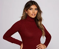 Knit Girl Turtleneck Mini Dress