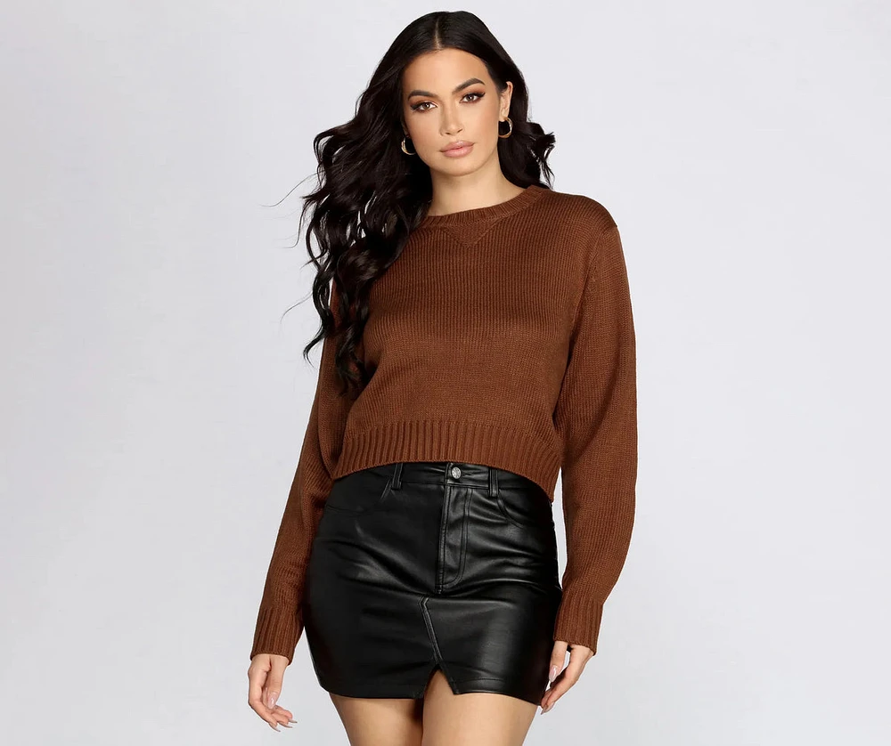 Basically Cute Cropped Sweater