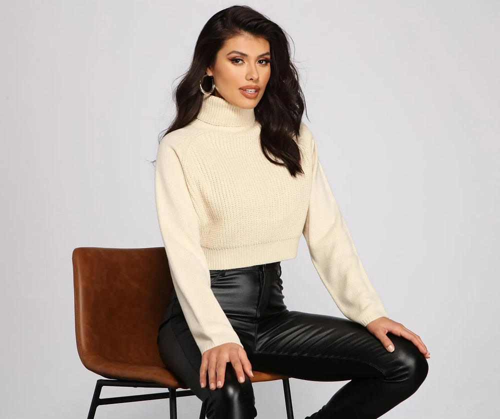 Basic Ribbed Knit Turtle Neck Sweater