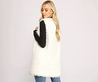 Chic Fashionista Faux Fur Vest