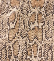 Bold Impression Snake Print Wrap Skort