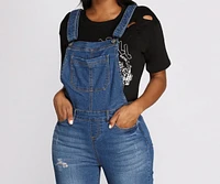 Buckle Down Slightly Distressed Denim Overalls