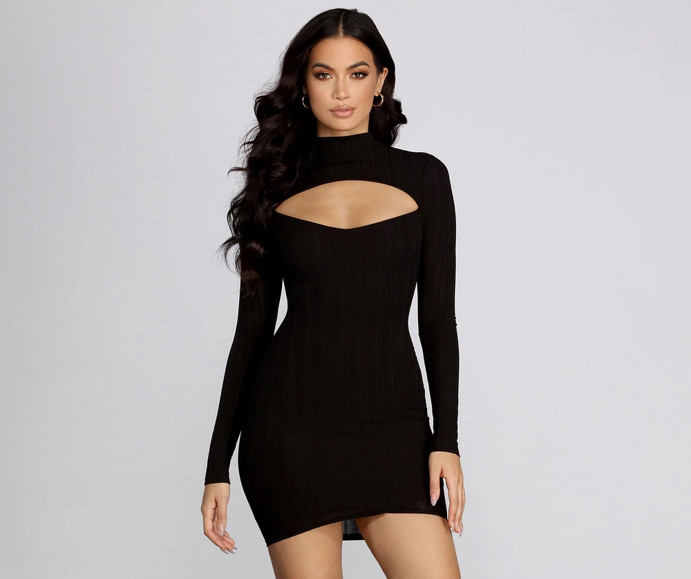 Ribbed Long Sleeve Knit Dress