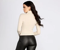 Basic Cozy Turtleneck Top