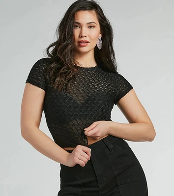 Sultry Sheer Textured Knit Top