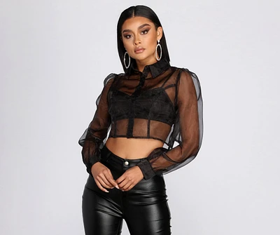 Sheer And Chic Collared Crop Top