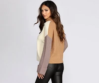 Colorblock Turtleneck Sweater