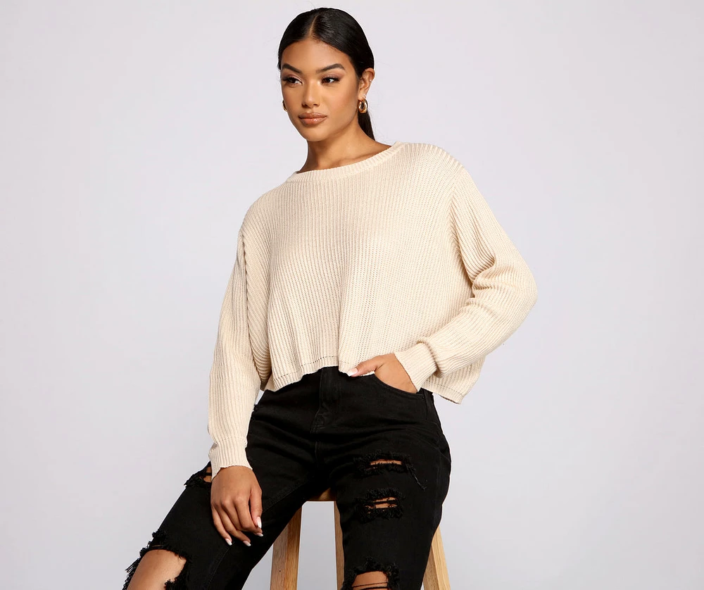 Basic Crew Neck Cropped Knit Sweater