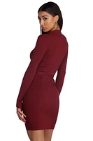 Zipped With Style Knit Dress