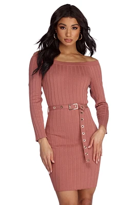 Fit On Point Sweater Dress