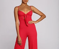 Keeping Knit Stylish Jumpsuit