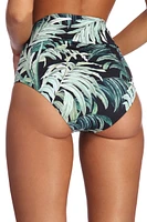 Palm Paradise Swim Bottom