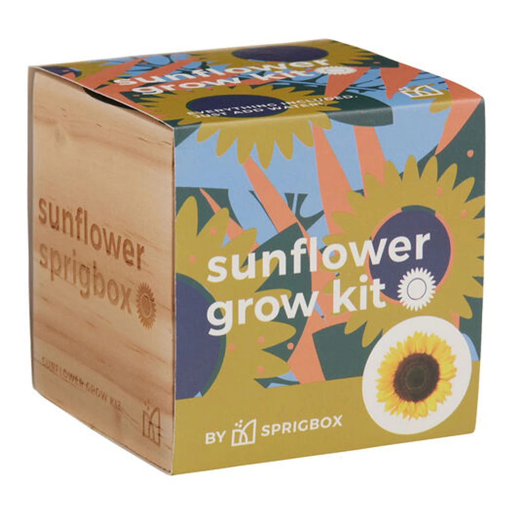 World Market Sprigbox Sunflower Grow Kit | The Market Place