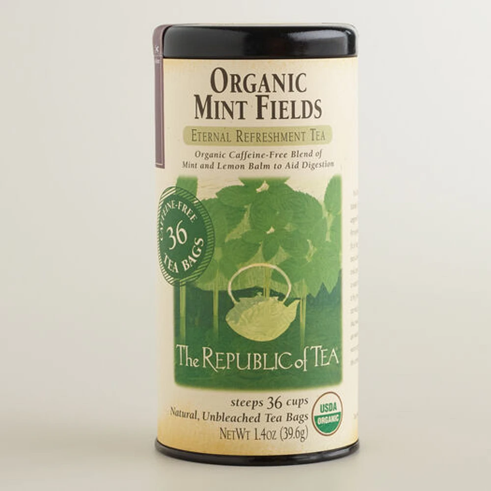 World Market The Republic of Tea Mint Fields Tea | The Market Place