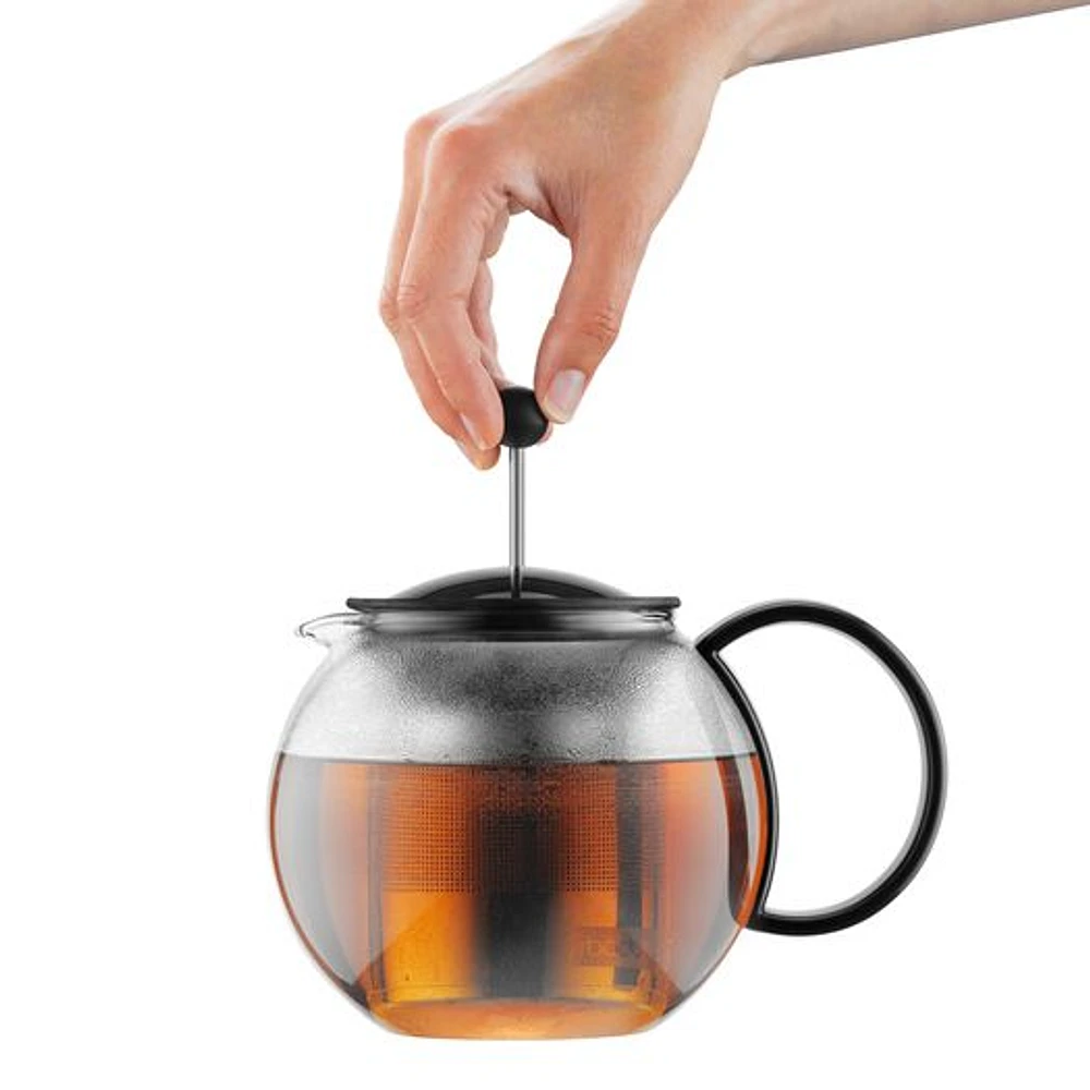 World Market Bodum Assam Glass and Stainless Steel Tea Press | The Market  Place