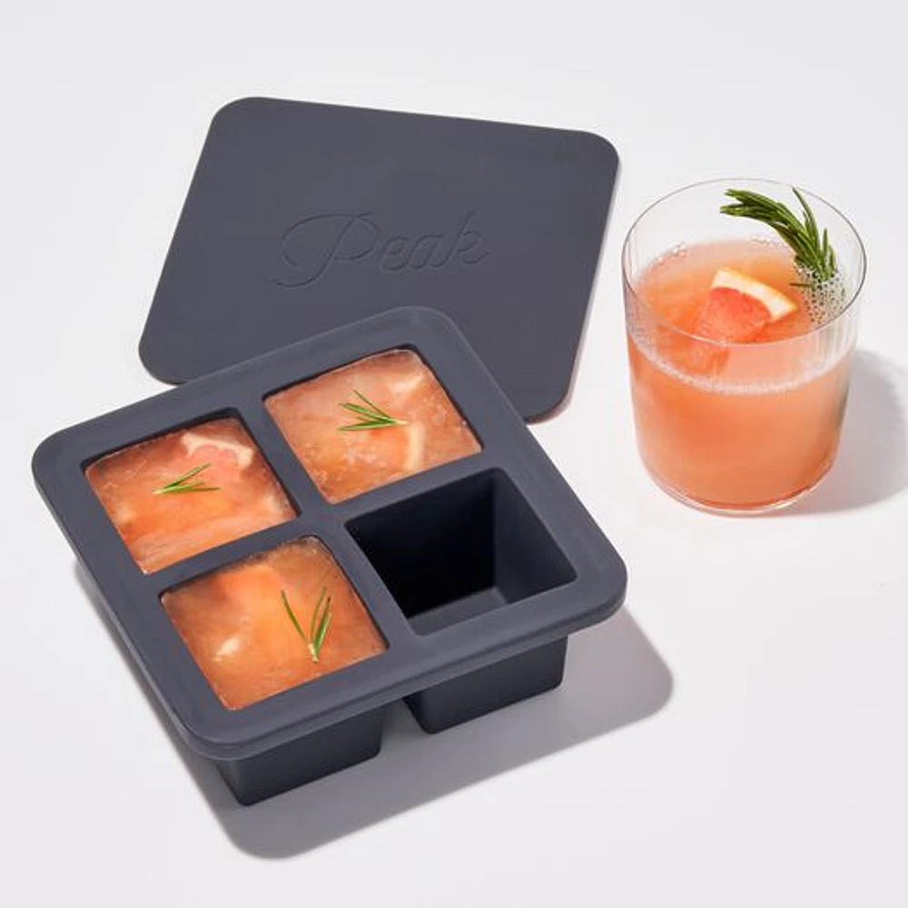 World Market W&P Extra Large Ice Cube Tray | The Market Place