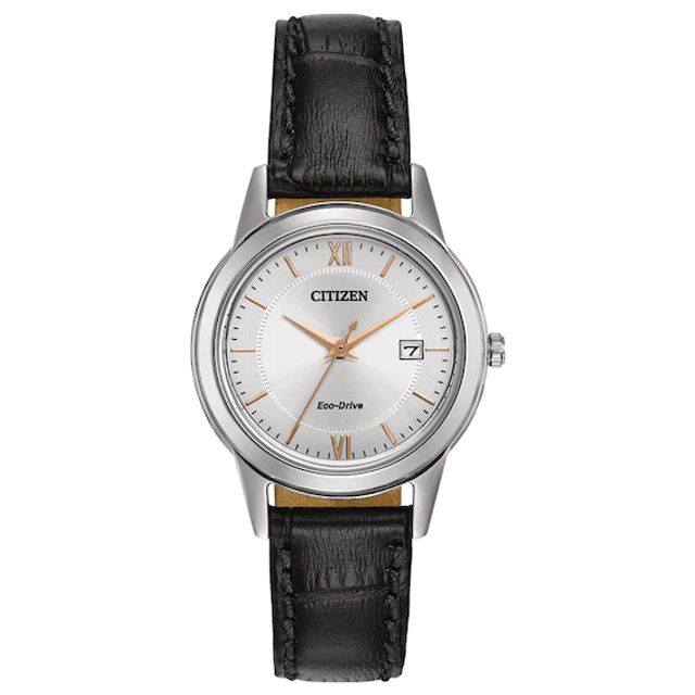 Ladies' Citizen Eco-DriveÂ® Strap Watch with Silver-Tone Dial (Model: Fe1086-04A)